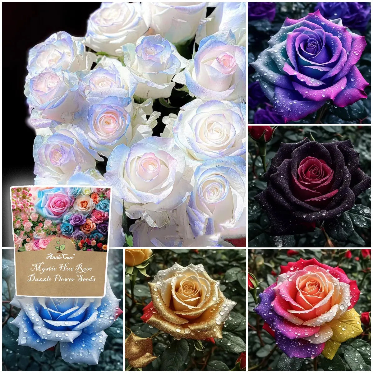 Funkelnde Blumensamen โ ๐รผ๐๐ก๐ญ๐๐ง ๐๐ข๐ ๐๐ฑ๐ช๐ฎ๐ข๐ฌ๐ข๐ญ ๐ฌ๐๐กรถ๐ง๐, ๐๐ฅ๐ข๐๐ค๐๐๐ง๐ -๐๐ฅ๐ฎ๐ฆ๐๐ง: "๐๐๐ข๐ฆ๐ข๐ฌ๐๐ก๐ ๐รค๐ญ๐ณ๐๐ก๐๐ง-๐๐ซ๐๐ก๐ข๐๐๐๐ง" ๐ธ๐บ