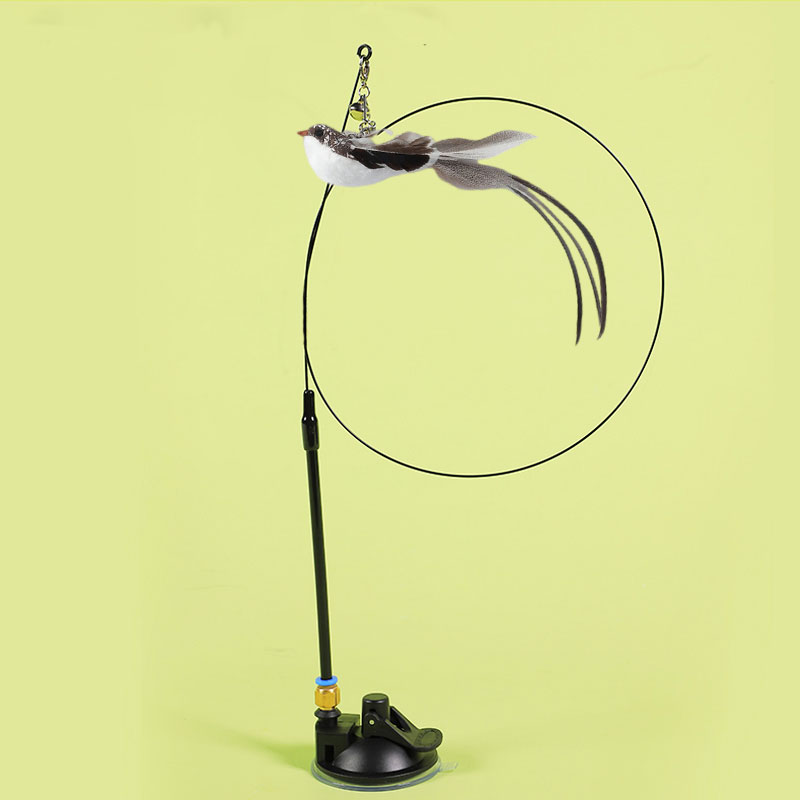 2 in 1 Detachable Interactive Feather Teasing Cat Toy