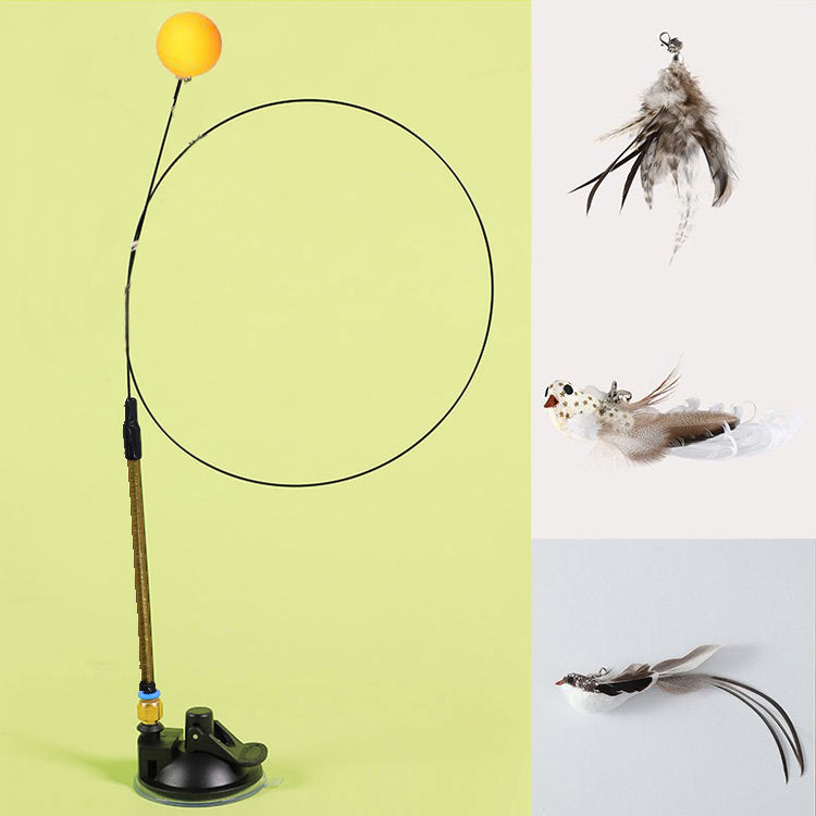 2 in 1 Detachable Interactive Feather Teasing Cat Toy