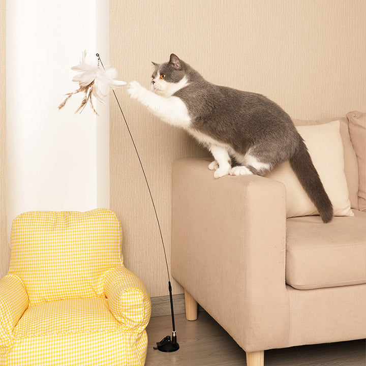 2 in 1 Detachable Interactive Feather Teasing Cat Toy