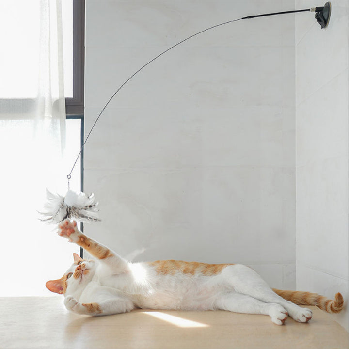 2 in 1 Detachable Interactive Feather Teasing Cat Toy