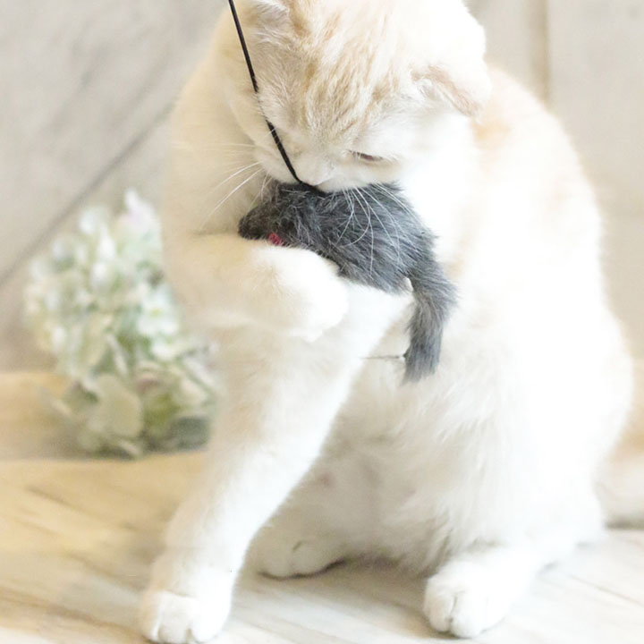 Hanging Mouse Interactive Indoor Cat Toys