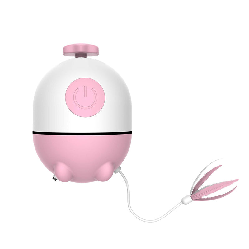 Feather Clip Laser Cat Toy