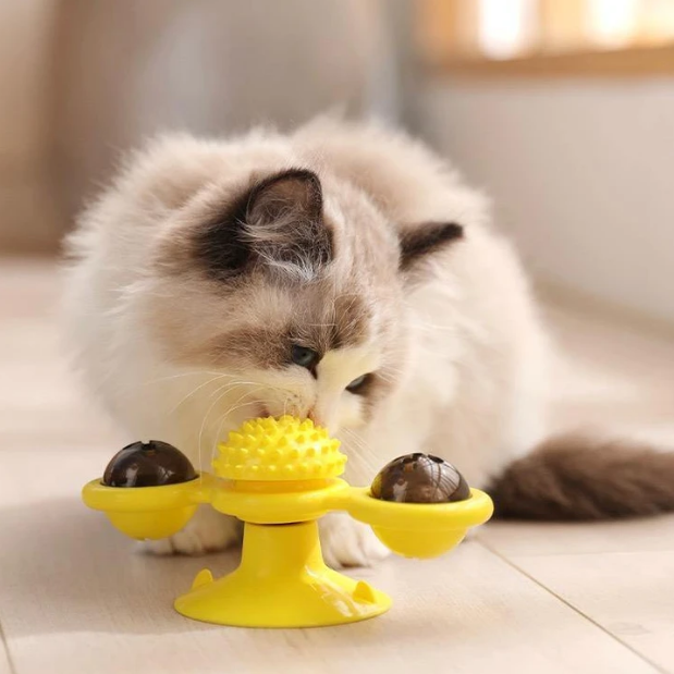 Butterfly Spinning Windmill Toothbrush Clean Cats Toys