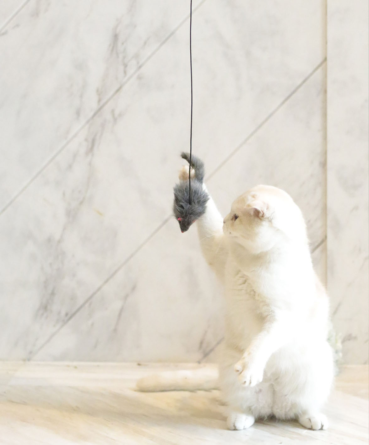 Hanging Mouse Interactive Indoor Cat Toys