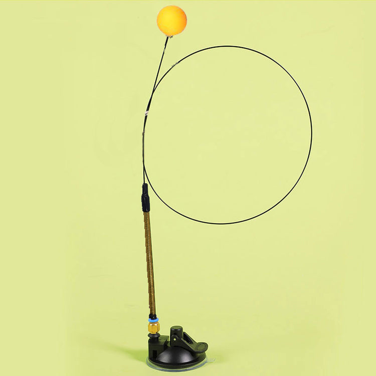 2 in 1 Detachable Interactive Feather Teasing Cat Toy