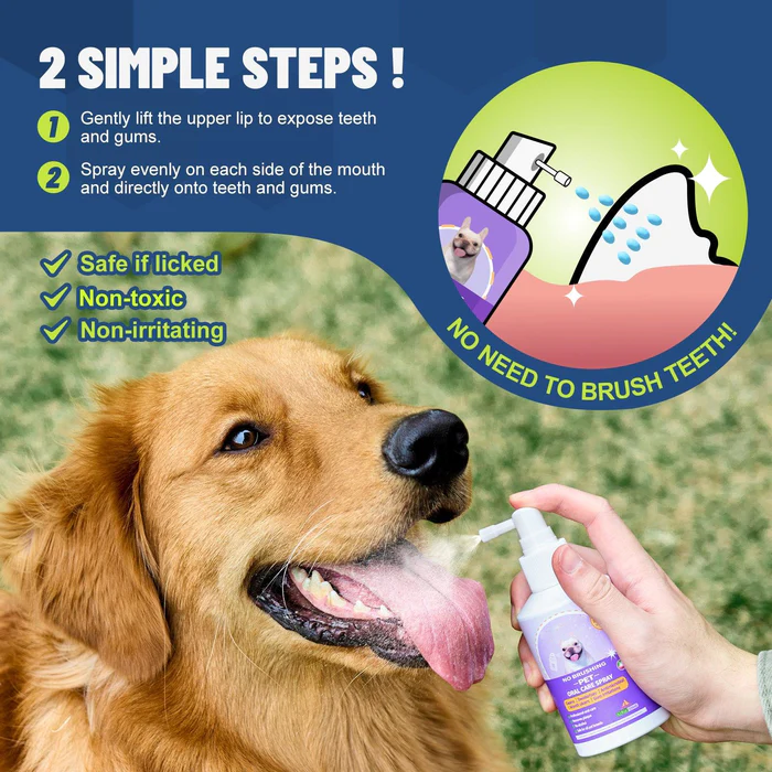 🔥Pet Teeth Cleaning Spray for Cats& Dogs, Eliminate Bad Breath, Targets Tartar & Plaque, Without Brushing🔥