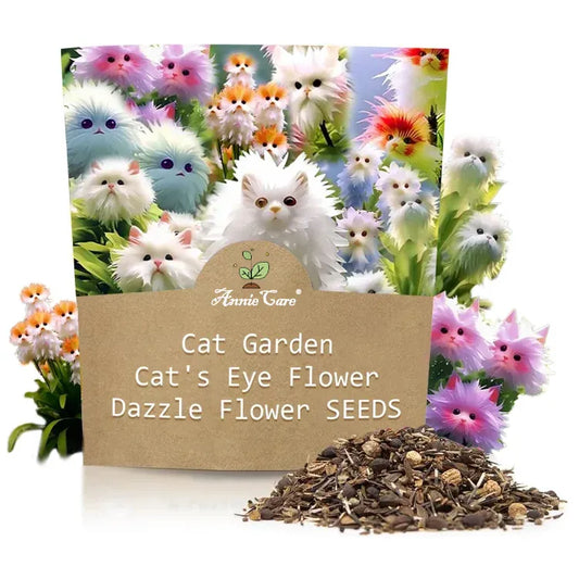 Funkelnde Blumensamen – 𝐙ü𝐜𝐡𝐭𝐞𝐧 𝐒𝐢𝐞 𝐞𝐱𝐪𝐮𝐢𝐬𝐢𝐭 𝐬𝐜𝐡ö𝐧𝐞, 𝐁𝐥𝐢𝐜𝐤𝐟𝐚𝐧𝐠-𝐁𝐥𝐮𝐦𝐞𝐧: "𝐇𝐞𝐢𝐦𝐢𝐬𝐜𝐡𝐞 𝐊ä𝐭𝐳𝐜𝐡𝐞𝐧-𝐎𝐫𝐜𝐡𝐢𝐝𝐞𝐞𝐧" 🌸😺
