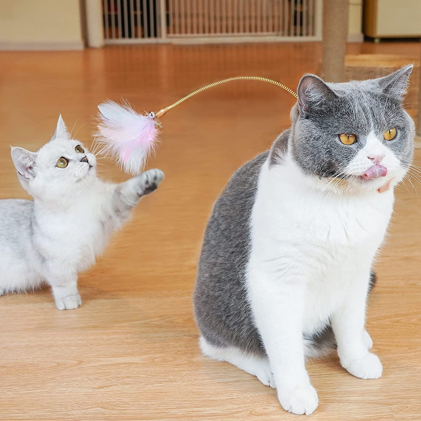 Creativity Feather Interactive Cat Self-entertainment Toys