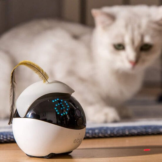 Cat Camera Smart Robot Companion With Laser for Your Cat