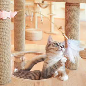 Creativity Feather Interactive Cat Self-entertainment Toys