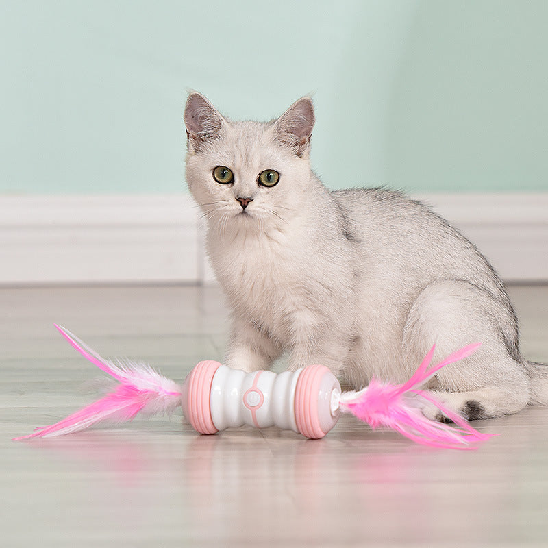 Automatic Interactive Toys With Feather For Cats