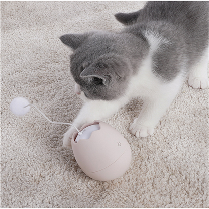 Eggshell Funny Interactive Cat Toy