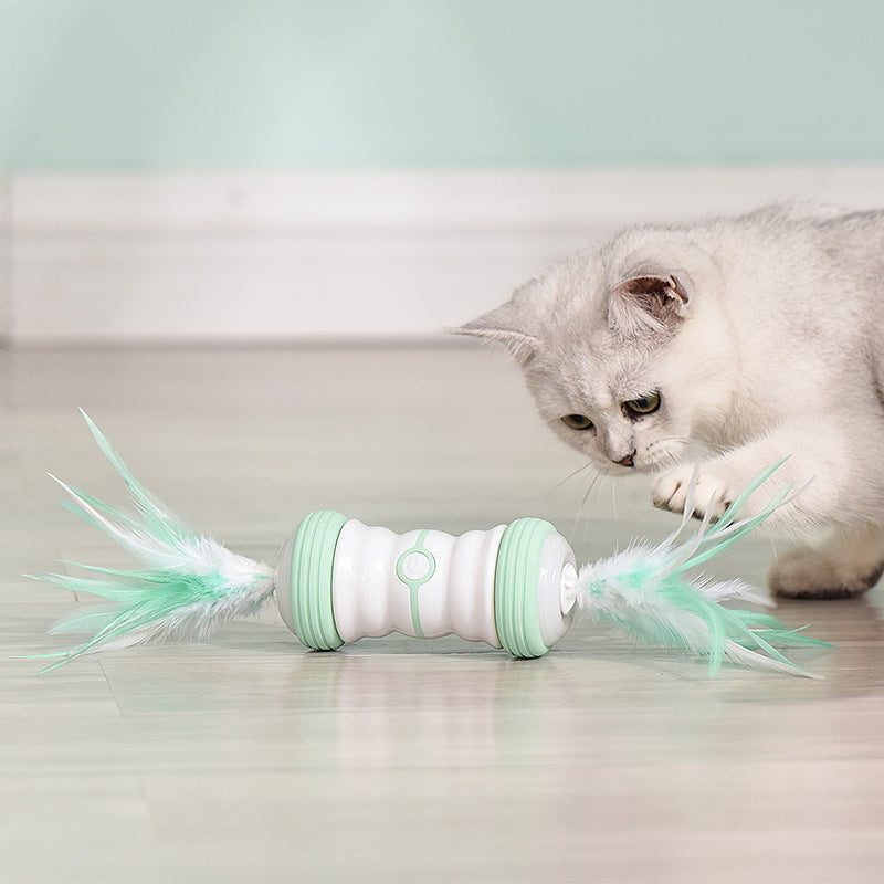 Automatic Interactive Toys With Feather For Cats