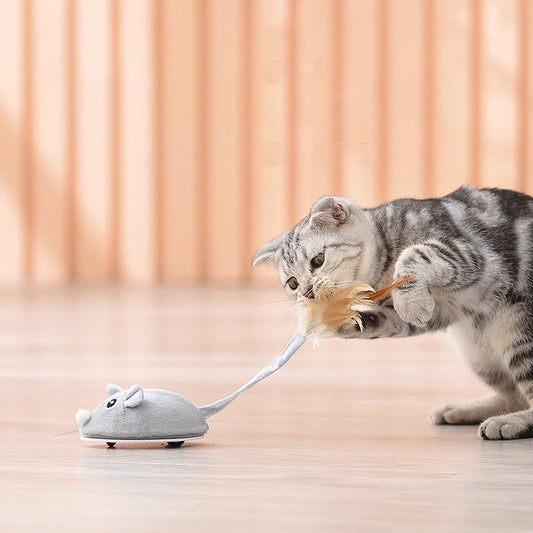 Electronic Motion Cat Toy Interactive Mouse With Feather Teaser