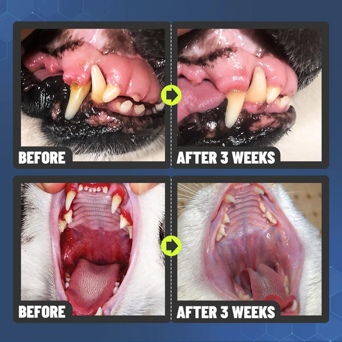 🔥Pet Teeth Cleaning Spray for Cats& Dogs, Eliminate Bad Breath, Targets Tartar & Plaque, Without Brushing🔥