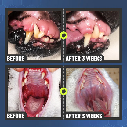 🔥Pet Teeth Cleaning Spray for Cats& Dogs, Eliminate Bad Breath, Targets Tartar & Plaque, Without Brushing🔥
