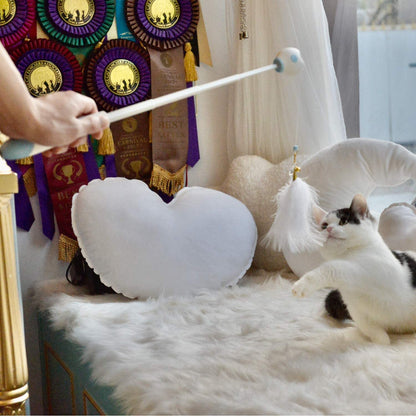 Multifunctional Retractable Laser Feather Cat Toy Wand