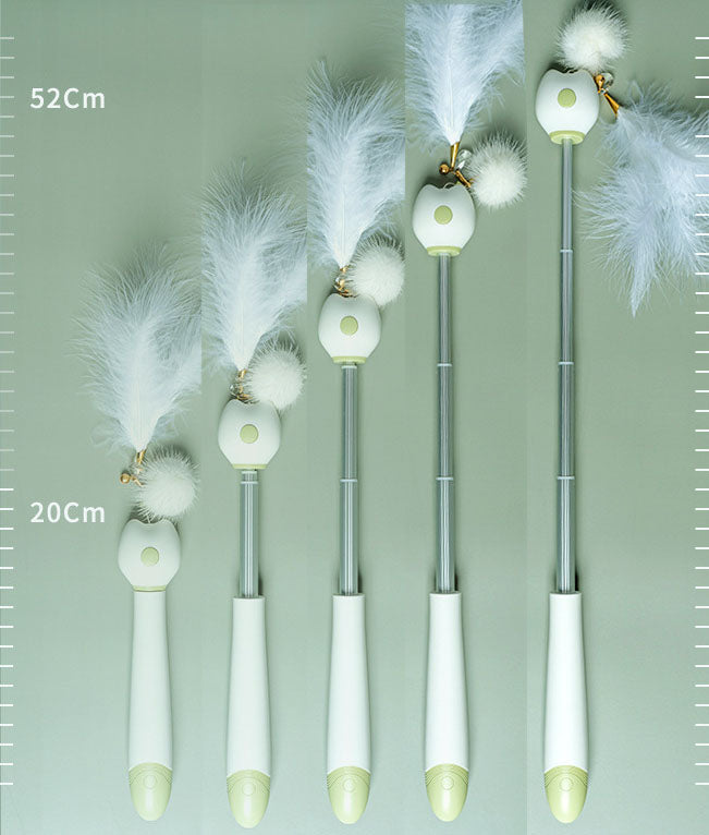 Multifunctional Retractable Laser Feather Cat Toy Wand