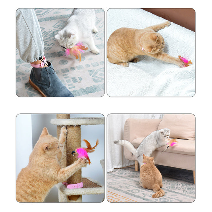 Feather Cat Self-entertainment Toys