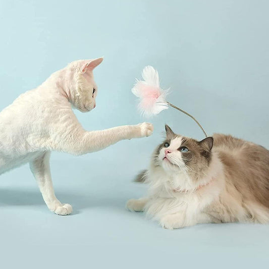 Creativity Feather Interactive Cat Self-entertainment Toys