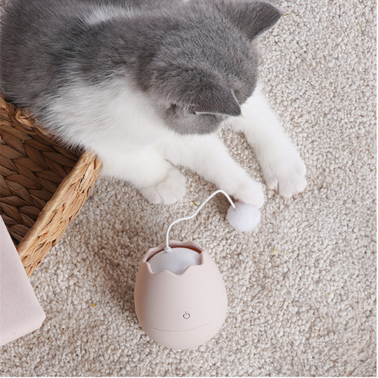 Eggshell Funny Interactive Cat Toy