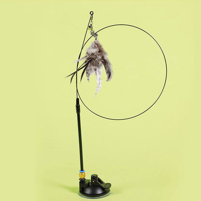 2 in 1 Detachable Interactive Feather Teasing Cat Toy